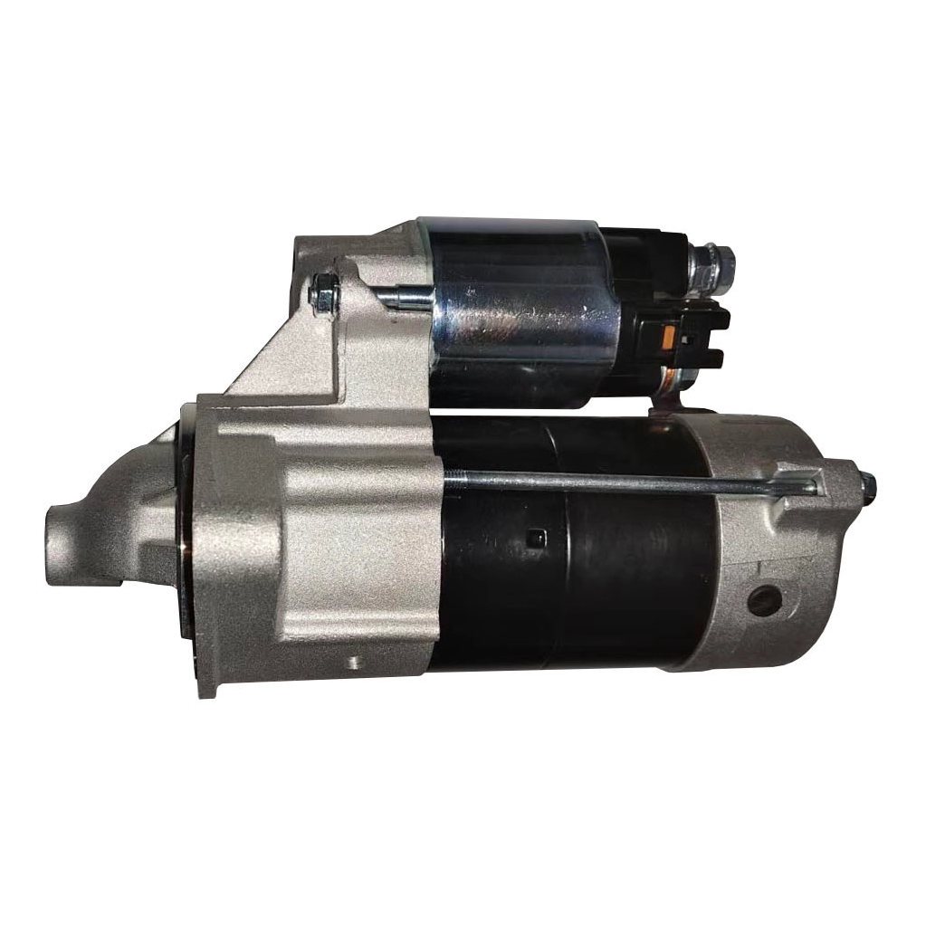 LS304
