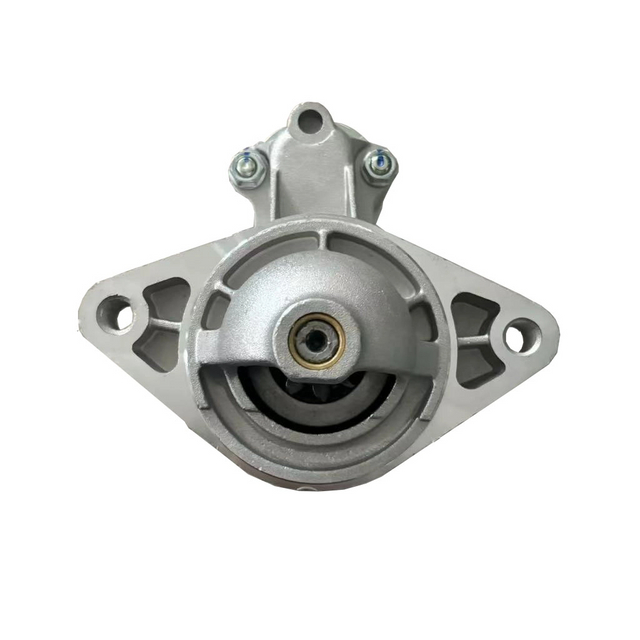 LS019