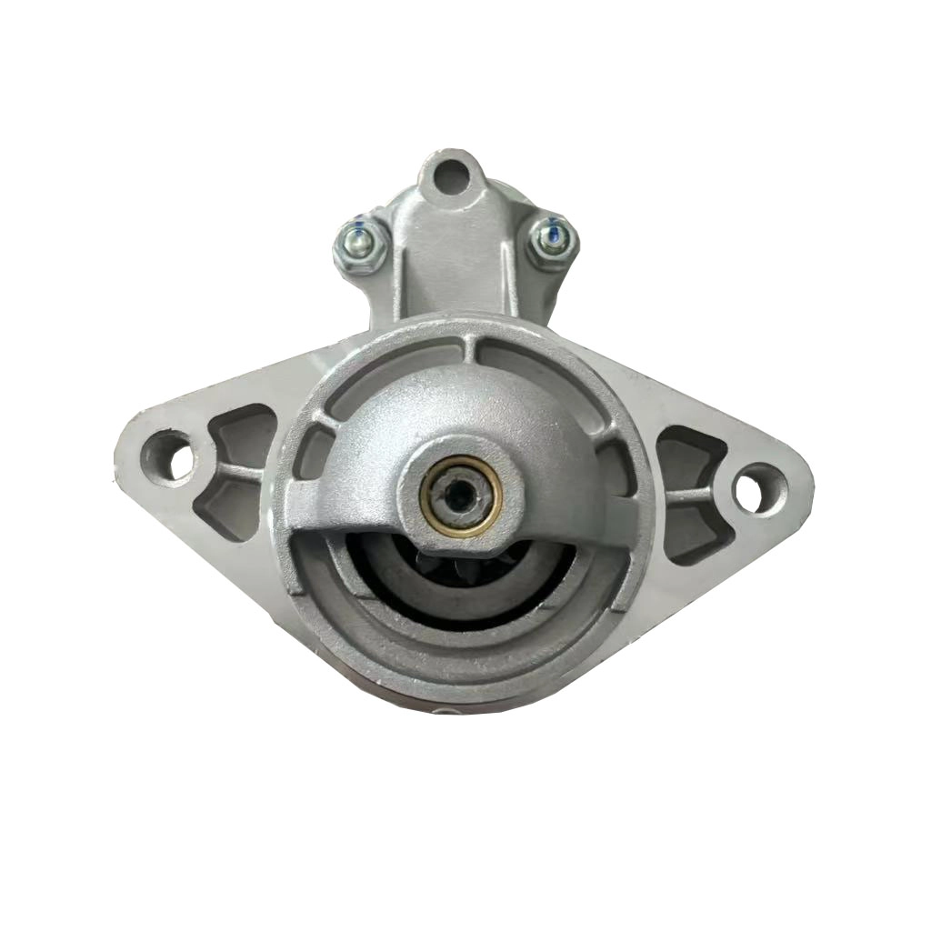 LS019