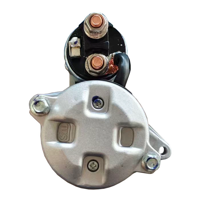 LS313