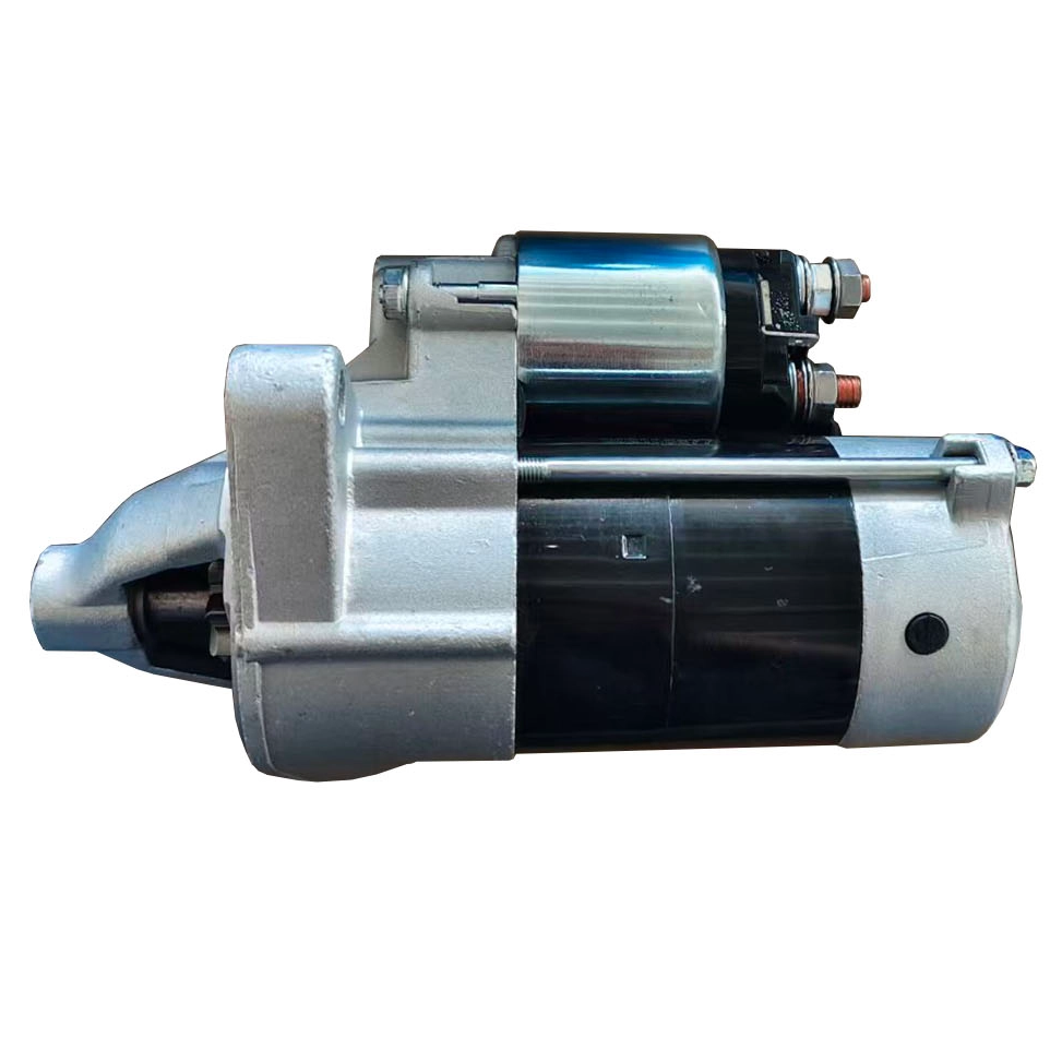 LS313