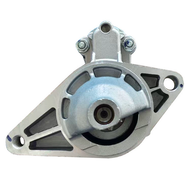 LS313
