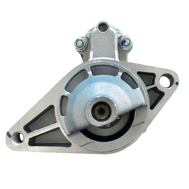 LS313